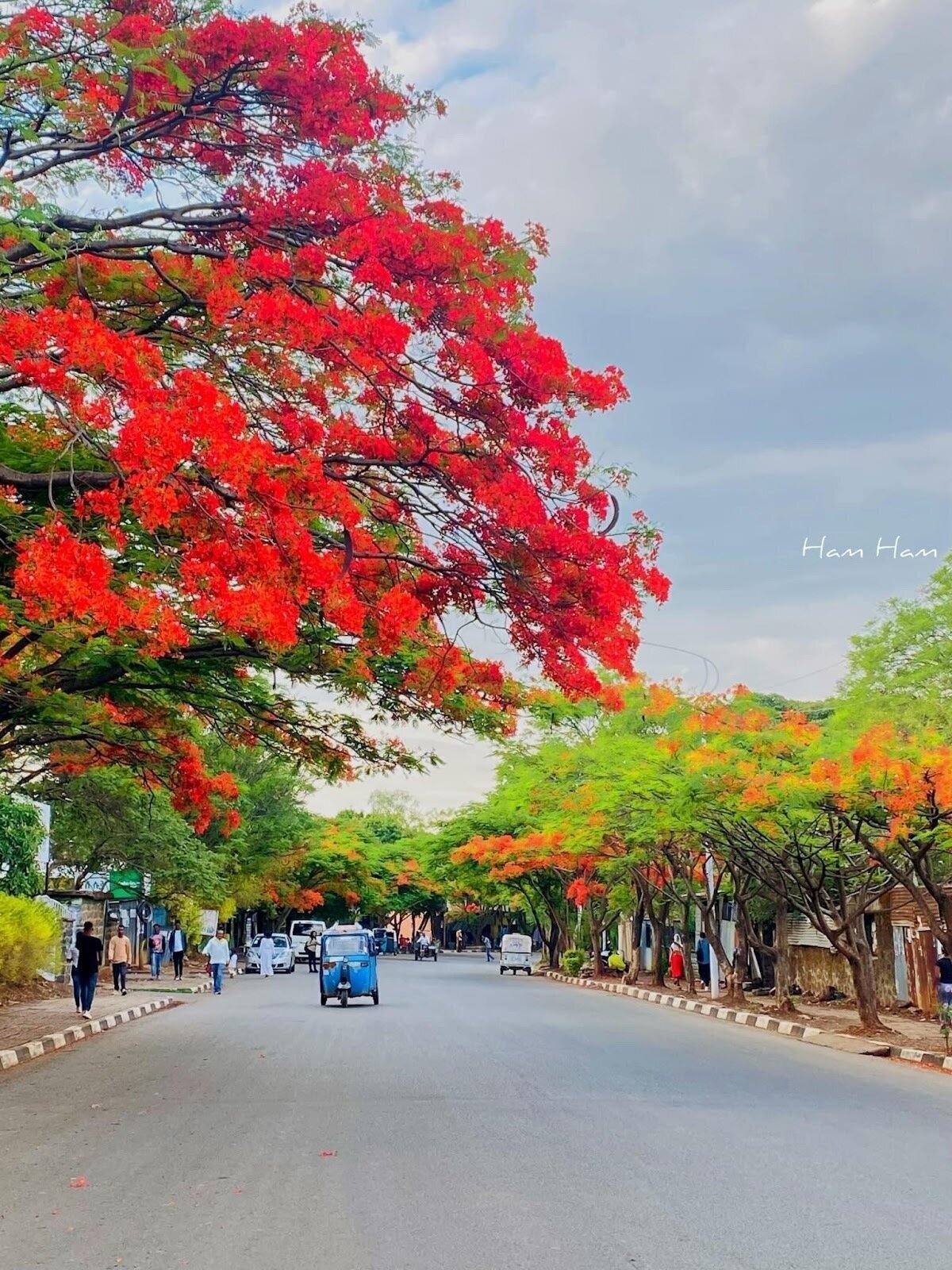 <span class="translation_missing" title="translation missing: en.meta.location_title, location_name: Bahir Dar Kebele 13, city: Bahir Dar">Location Title</span>