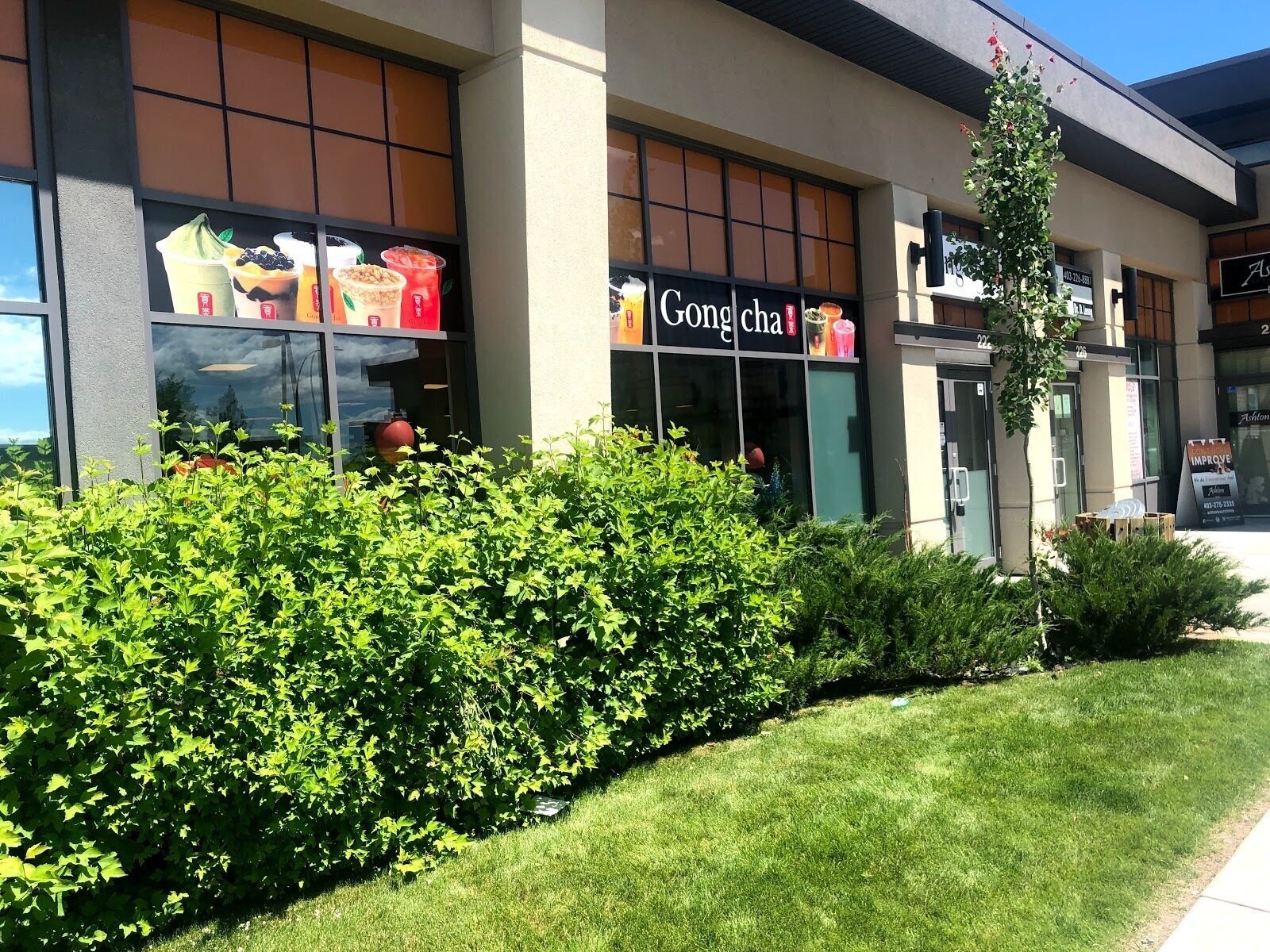 <span class="translation_missing" title="translation missing: en.meta.location_title, location_name: Gong Cha Country Hills Bubbletea, city: Calgary">Location Title</span>