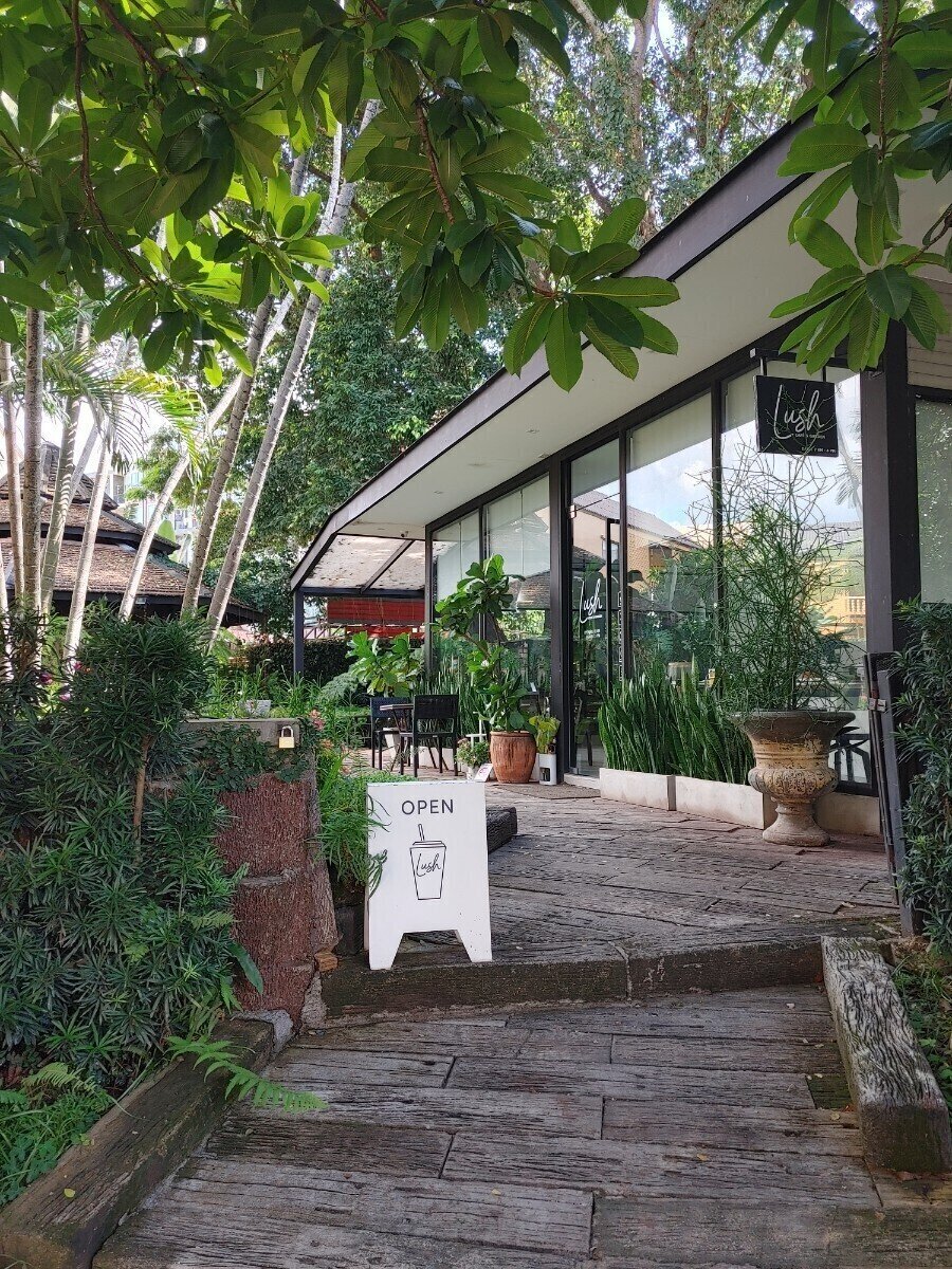 <span class="translation_missing" title="translation missing: en.meta.location_title, location_name: Lush Cafe &amp; Garden, city: Chiang Mai">Location Title</span>