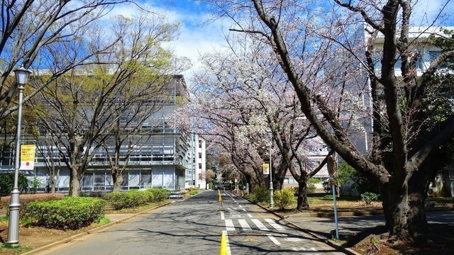 Chiba University - Nishi-Chiba Campus