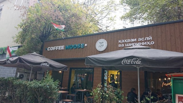 Coffee Moose Dushanbe