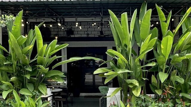 LostxFound Cafe