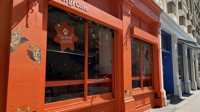 Corgi Cafe