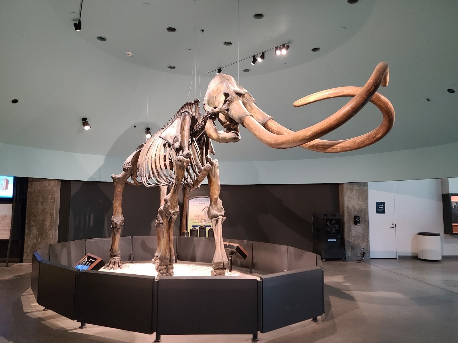 <span class="translation_missing" title="translation missing: en.meta.location_title, location_name: La Brea Tar Pits and Museum, city: Los Angeles">Location Title</span>