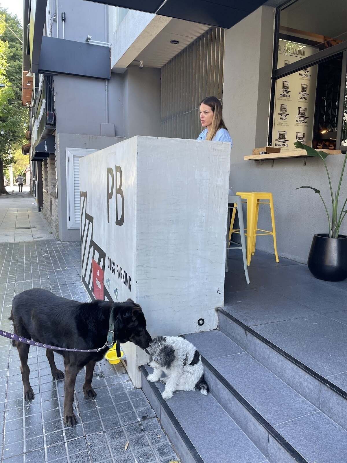 <span class="translation_missing" title="translation missing: en.meta.location_title, location_name: Café Planta Baja, city: Mar del Plata">Location Title</span>