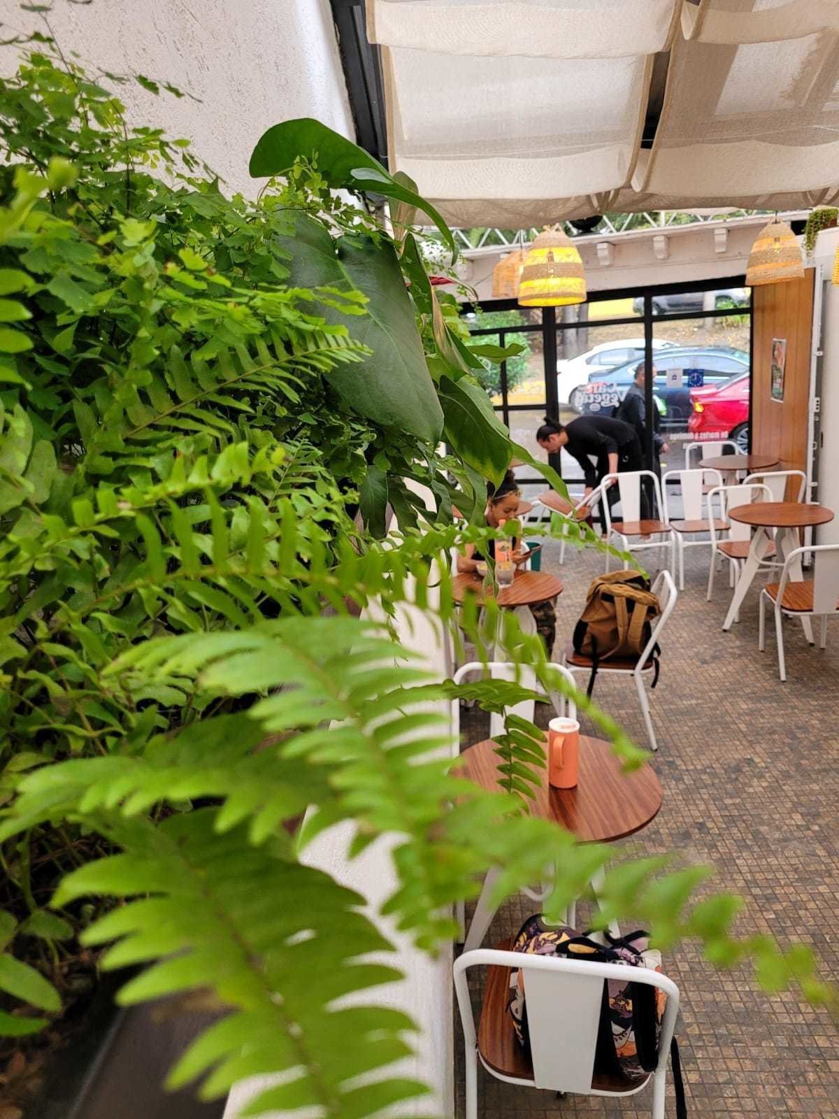 <span class="translation_missing" title="translation missing: en.meta.location_title, location_name: Café Vegetal, city: Mexico City">Location Title</span>