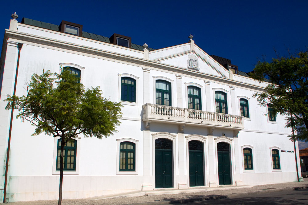 Biblioteca Municipal de Oliveira do Bairro: A Work-Friendly Place in Oliveira do Bairro