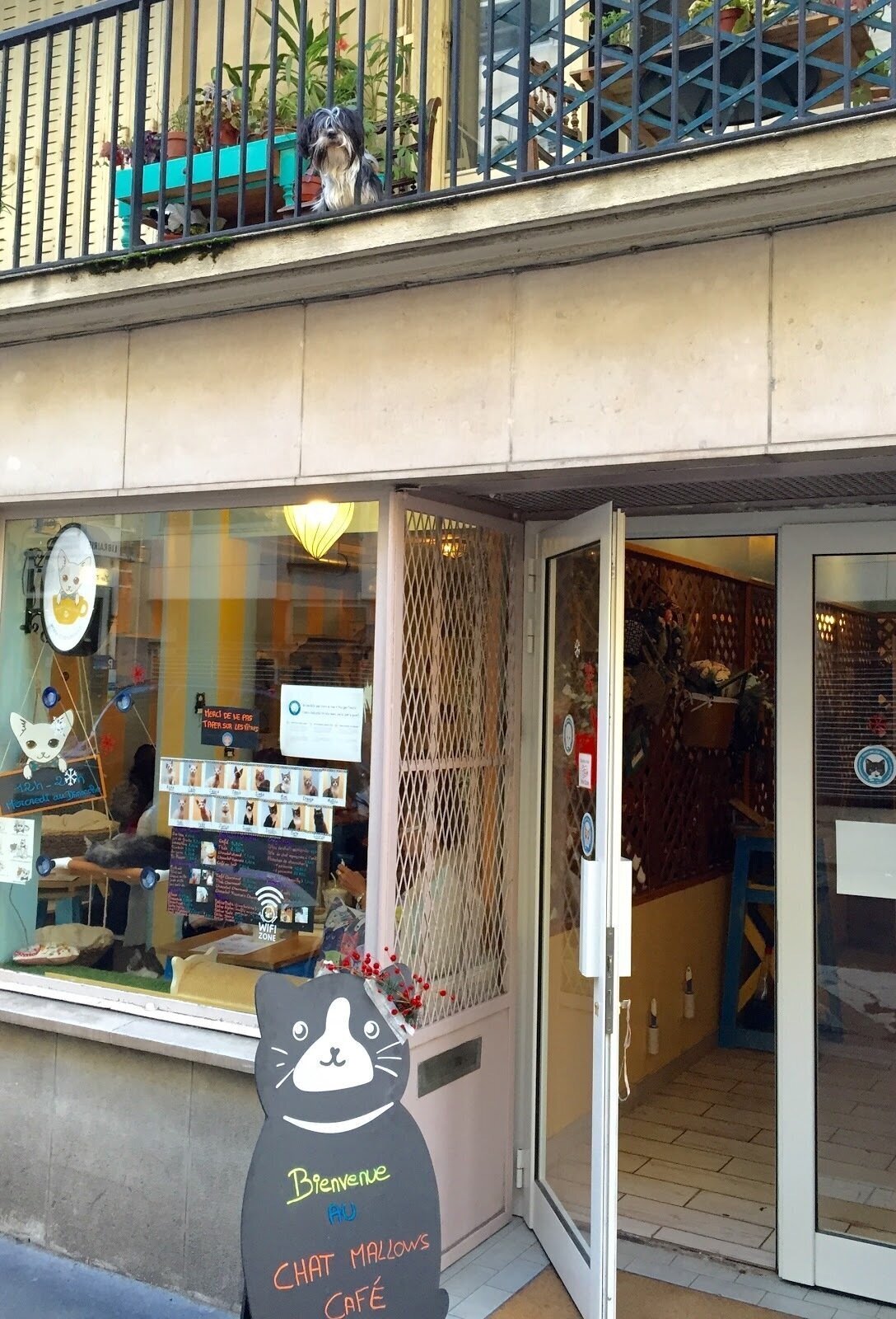 <span class="translation_missing" title="translation missing: en.meta.location_title, location_name: Chat Mallows Café 10€/pers Age 6+ only, city: Paris">Location Title</span>