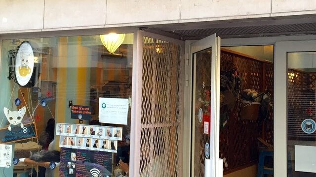 Chat Mallows Café 10€/pers Age 6+ only