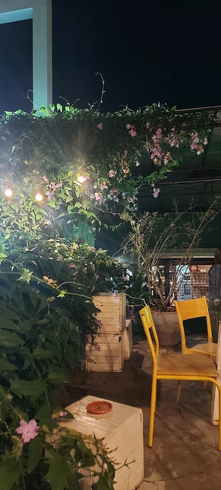 A Cafeteria Botânica: A Work-Friendly Place in Salvador