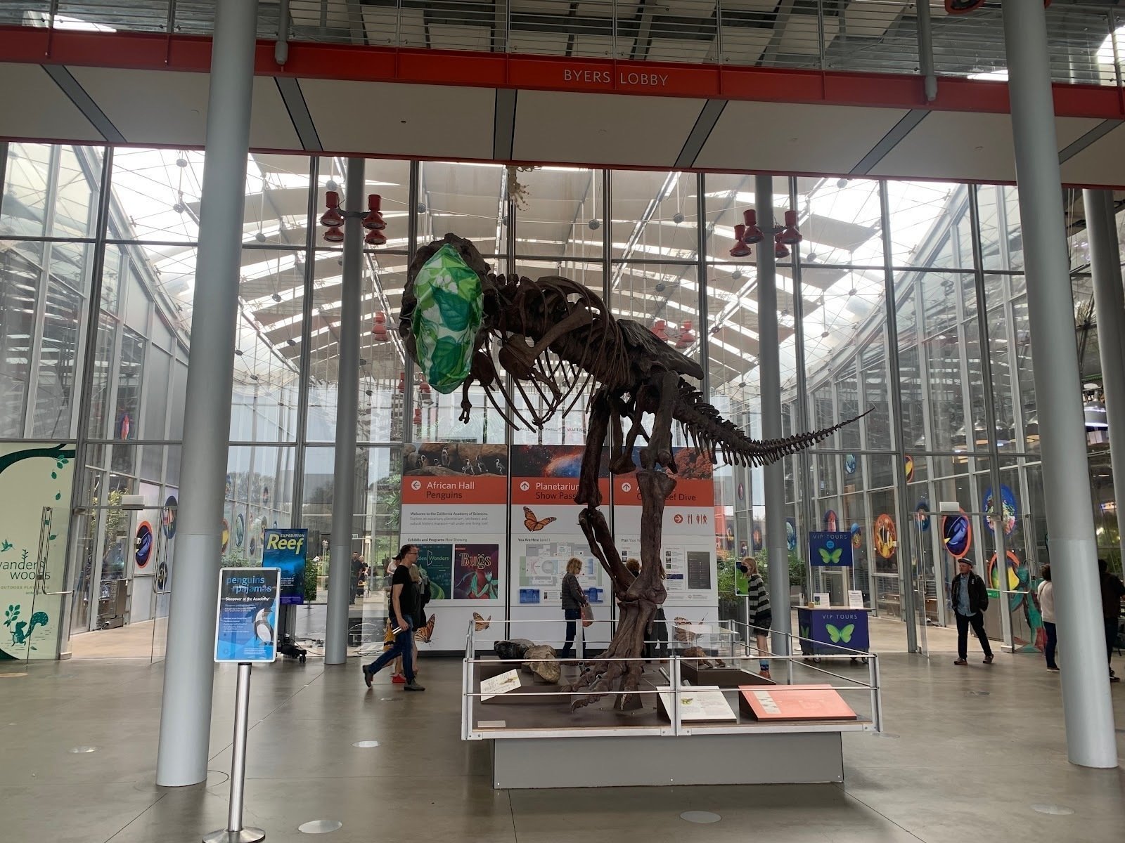 <span class="translation_missing" title="translation missing: en.meta.location_title, location_name: California Academy of Sciences, city: San Francisco">Location Title</span>