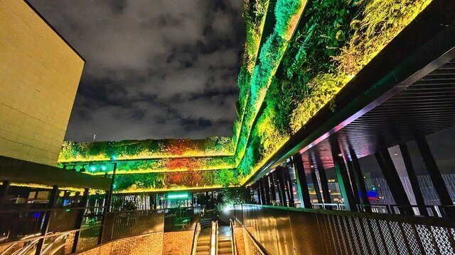 The Mint Ginza | Rooftop Cafe & Bar