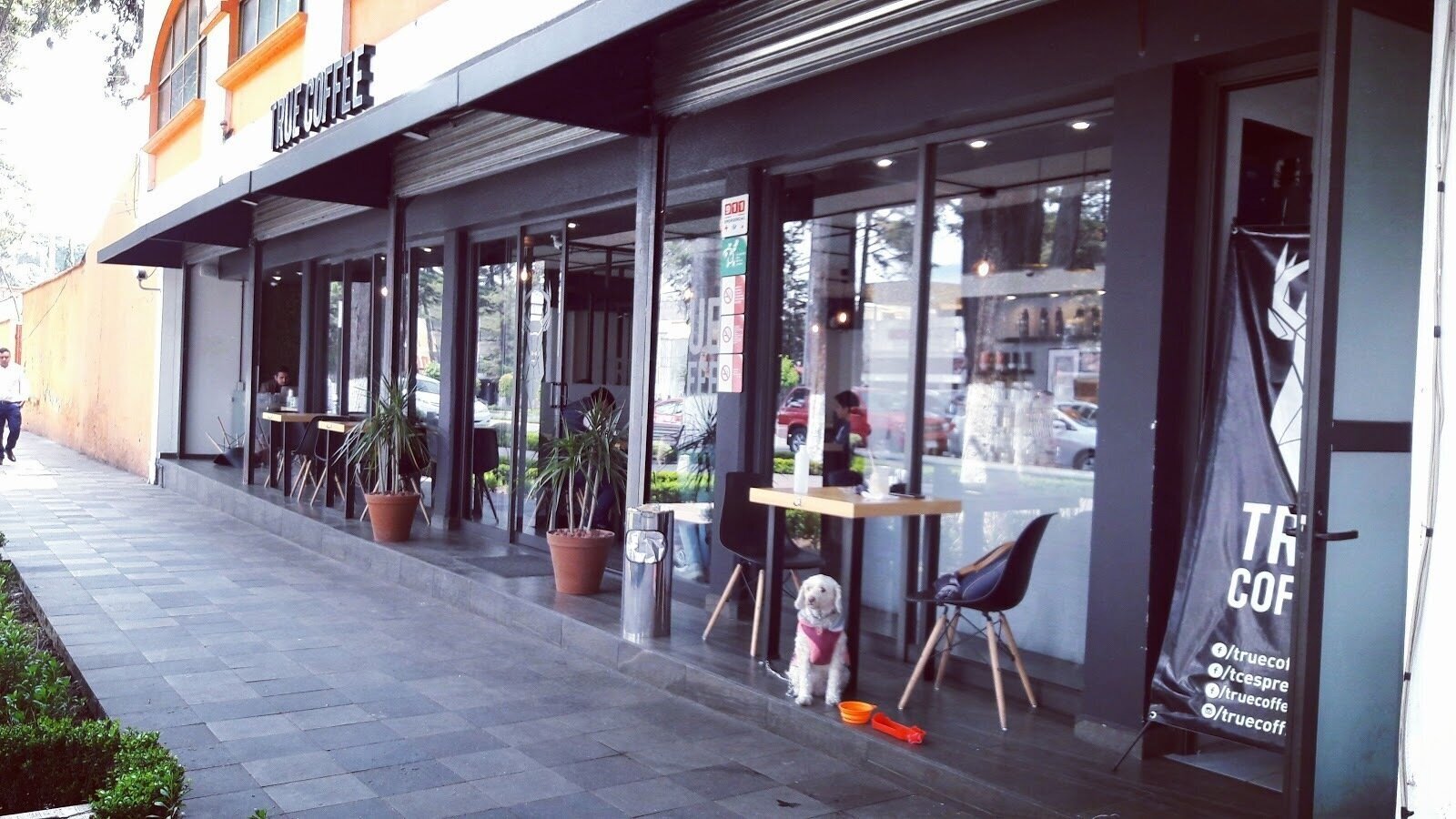 <span class="translation_missing" title="translation missing: en.meta.location_title, location_name: True Coffee Colón, city: Toluca">Location Title</span>