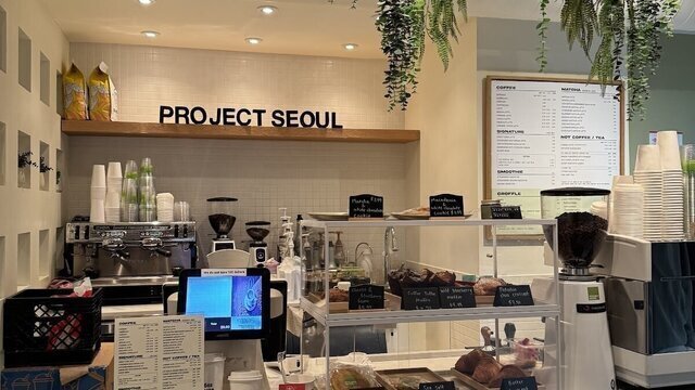 Project Seoul