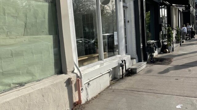 White Squirrel Coffee Shop