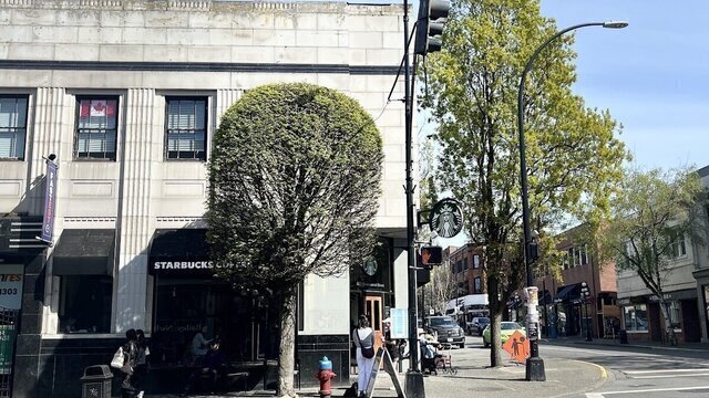 Starbucks @ 1301 Government St